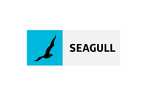 seagull