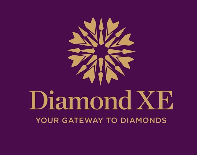 DXE Logo